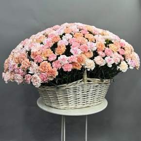 Композиция в корзине из 251 диантуса микс в Зарайске