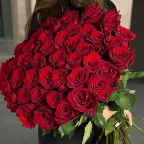 Букет 51 роза Эквадор Эксплорер (60 см) в Зарайске