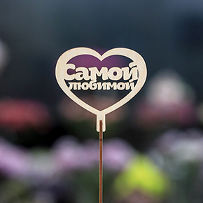 Топпер Самой Любимой в Зарайске