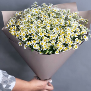 Букет из 17 ромашек танацетум в Зарайске