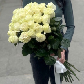 Монобукет из 25 роз Эквадор Мондиаль (80 см) в Зарайске