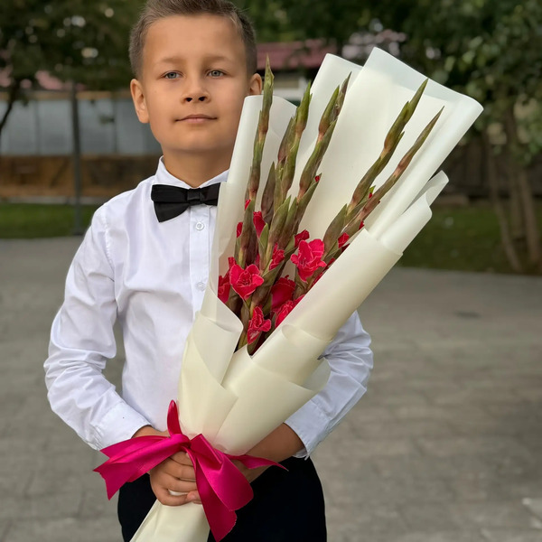 Букет на 1 сентября из 7 малиновых гладиолусов в Зарайске