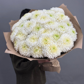 Букет из 27 хризантем Магнум в Зарайске