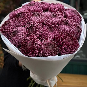 Букет 21 винной хризантемы Бигоуди в Зарайске