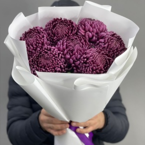 Букет "Винная легенда" из 7 хризантем Бигоуди в Зарайске