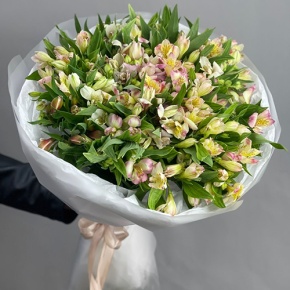 Букет "Зарина" из 37 альстромерий микс в Зарайске