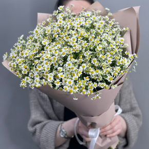 Букет из 17 полевых ромашек в Зарайске
