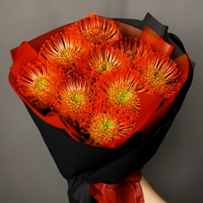 Букет из 9 лейко в Зарайске