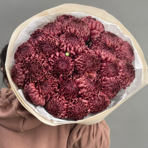 Букет 21 шоколадной хризантемы Бигоуди в Зарайске