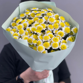 Букет "Моё солнышко" из 17 хризантем сантини  в Зарайске