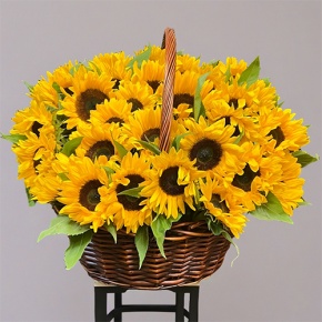 Композиция в корзине из 51 подсолнуха в Зарайске