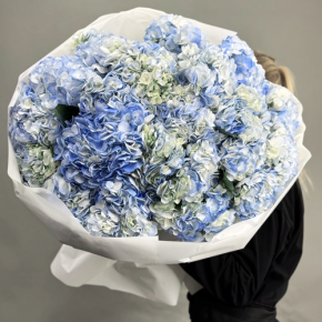 Букет из 23 синих гортензий в Зарайске