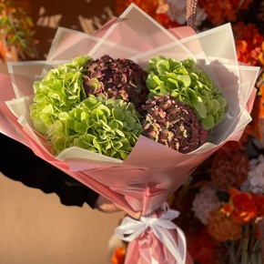 Букет из Голландских гортензий микс в Зарайске