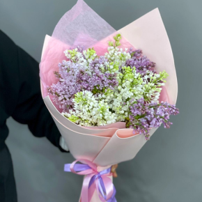 Букет из 11 веток сирени микс в Зарайске