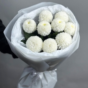 Букет из 9 белых хризантем Момоко в Зарайске