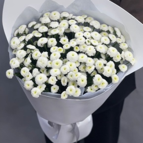 Букет "Белая дымка" из 25 хризантем сантини в Зарайске