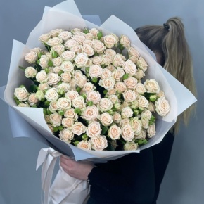 Букет из 25 кремовых кустовых роз (70 см) в Зарайске