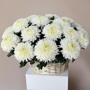 Композиция в корзине из 25 хризантем Магнум в Зарайске