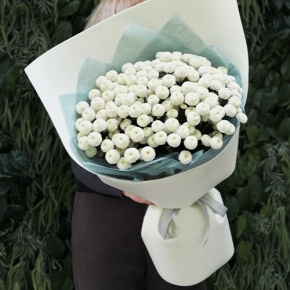 Букет из 25 хризантем Ньютон в Зарайске