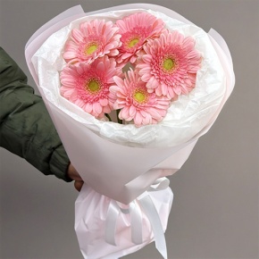 Букет из 5 розовых гербер мини в Зарайске