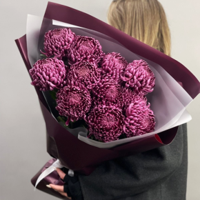 Букет "Изобилие" из 11 винных хризантем Бигоуди в Зарайске