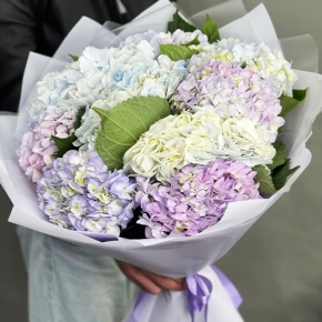 Букет из 9 Голландских гортензий микс в Зарайске