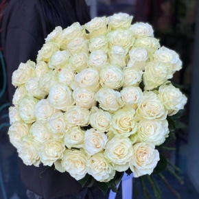 Букет из 51 розы Эквадор Мондиаль под ленту (80 см) в Зарайске