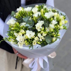 Букет из 51 белой фрезии в Зарайске