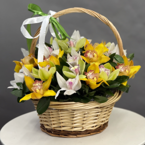 Композиция в корзине из 25 орхидей микс в Зарайске