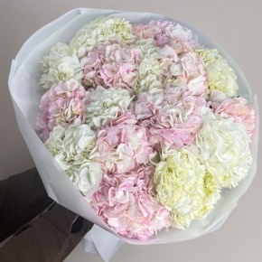 Букет из 17 нежных гортензий в Зарайске