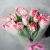 Букет "Фламинго" из 11 пионовидных тюльпанов в Зарайске Букет "Фламинго" из 11 пионовидных тюльпанов в Зарайске