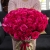 Букет 51 роза Эквадор Пинк Флоид (60 см) в Зарайске Букет 51 роза Эквадор Пинк Флоид (60 см) в Зарайске