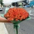 Букет из 51 мандариновой розы (40 см) в Зарайске Букет из 51 мандариновой розы (40 см) в Зарайске