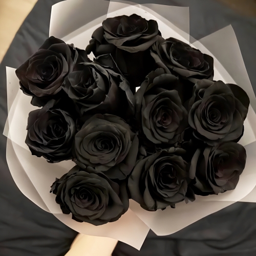 Букет "Черная королева" из 11 черных роз Эквадор (60 см) в Зарайске