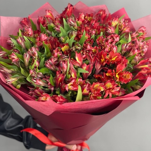 Монобукет из 25 красных альстромерий в Зарайске