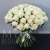 Букет 75 белых роз Эквадор Мондиаль (80 см) в Зарайске Букет 75 белых роз Эквадор Мондиаль (80 см) в Зарайске