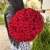 Букет 51 красной розы 50 см в Зарайске