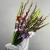 Букет из 25 гладиолусов микс в Зарайске Букет из 25 гладиолусов микс в Зарайске