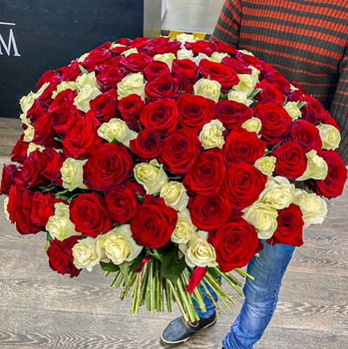 Букет 151 роза красный и белый микс (60 см) в Зарайске