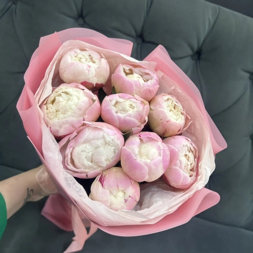 Букет из 9 нежных пионов Гардения в Зарайске