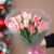 Букет "Фламинго" из 11 пионовидных тюльпанов в Зарайске Букет "Фламинго" из 11 пионовидных тюльпанов в Зарайске