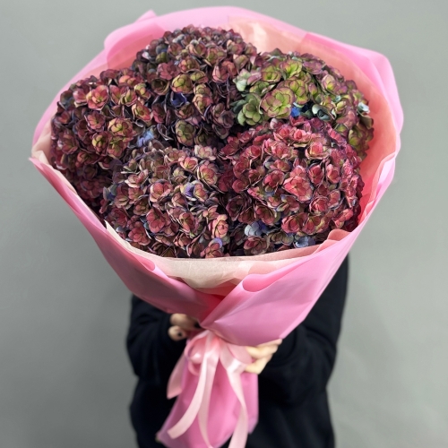 Букет из 5 космических Голландских гортензий в Зарайске