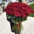 Букет из 101 красной розы (90 см) в Зарайске Букет из 101 красной розы (90 см) в Зарайске