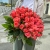 Букет 51 роза коралл (60 см) в Зарайске Букет 51 роза коралл (60 см) в Зарайске