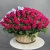 Композиция в корзине из 151 малиновой розы в Зарайске Композиция в корзине из 151 малиновой розы в Зарайске