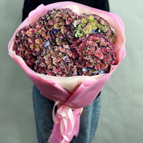 Букет из 5 космических Голландских гортензий в Зарайске