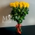 Букет 25 желтых роз эквадор (60 см) в Зарайске Букет 25 желтых роз эквадор (60 см) в Зарайске