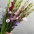 Букет из 25 гладиолусов микс в Зарайске Букет из 25 гладиолусов микс в Зарайске