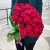 51 малиновая тепличная роза Шангрила (70 см) в Зарайске 51 малиновая тепличная роза Шангрила (70 см) в Зарайске